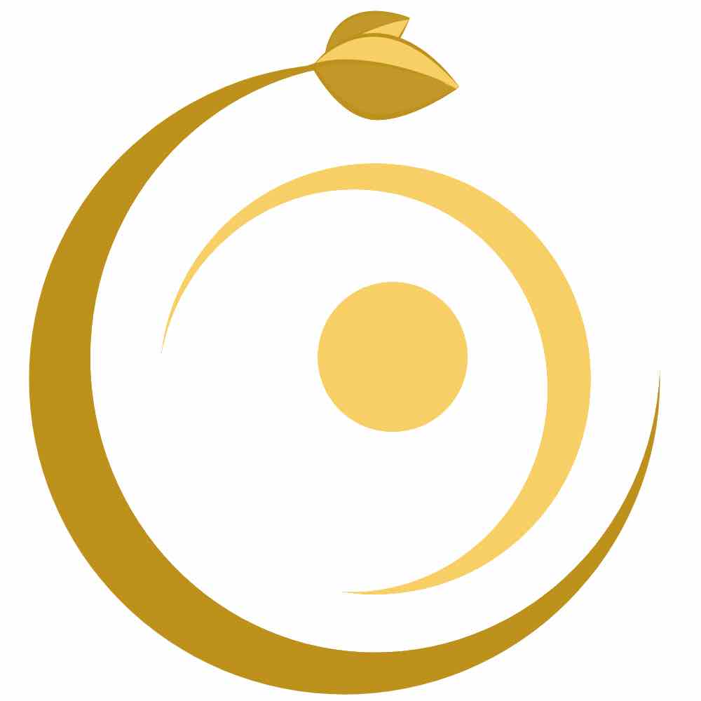 Circulaya Eco Packaging Concepts