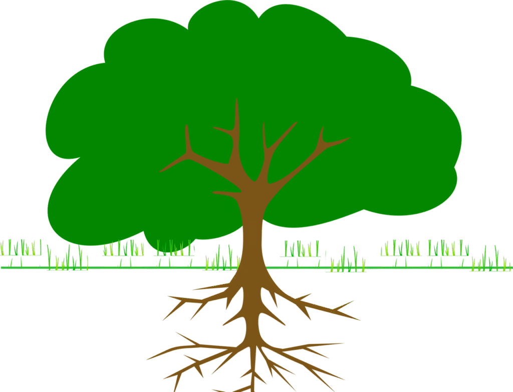 Shaping Trust in Bio-Based Products: Introducing the BioReCer Framework and the BioReCer IC Tool