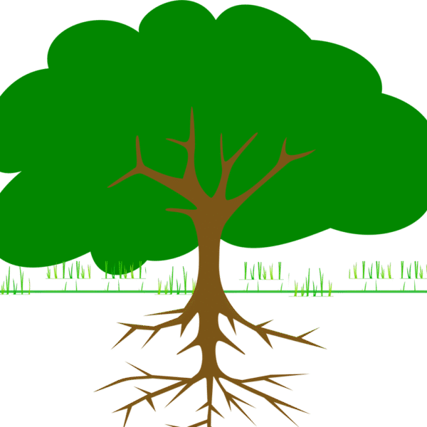 tree, branches, roots, ecology, bio, organic, grow, nature, forest, tree, tree, tree, roots, roots, roots, bio, bio, bio, bio, bio, grow, grow, grow, nature-295244.jpg