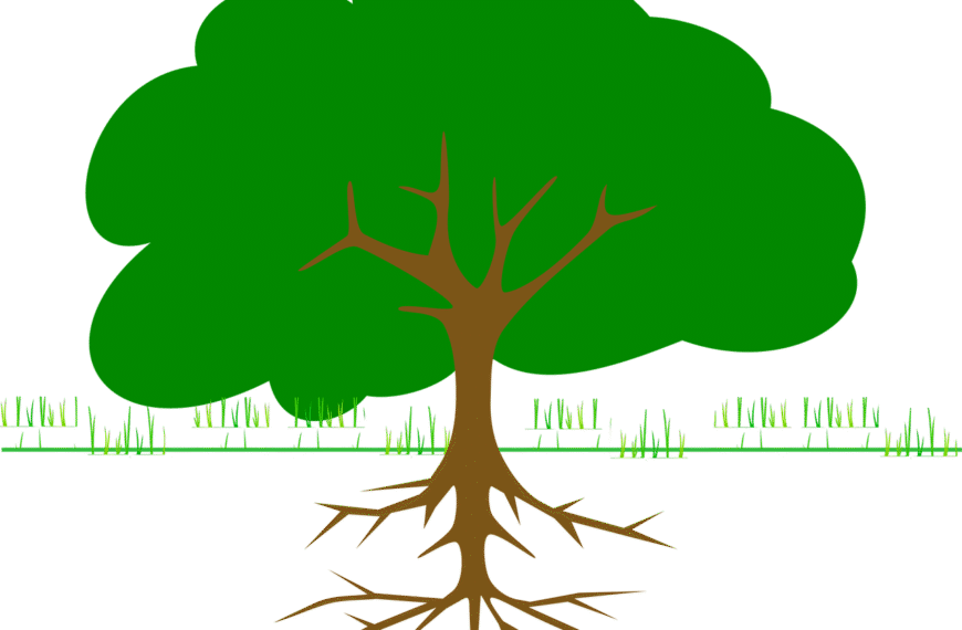 tree, branches, roots, ecology, bio, organic, grow, nature, forest, tree, tree, tree, roots, roots, roots, bio, bio, bio, bio, bio, grow, grow, grow, nature-295244.jpg